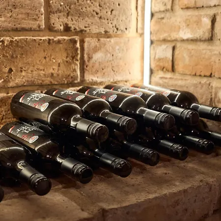 Melior Szallo Nocleg ze śniadaniem